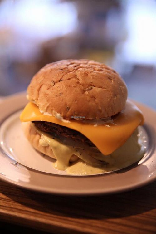 . at DalYang - Sweet Kitten 달냥 in Seoul