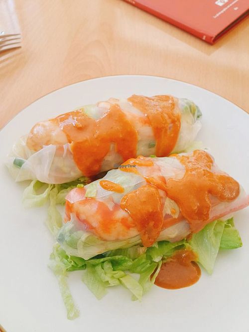 . at DalYang - Sweet Kitten 달냥 in Seoul