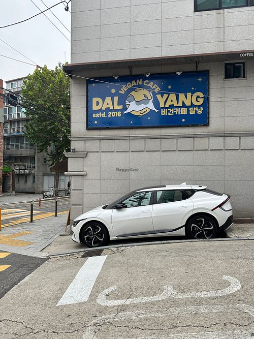  at DalYang - Sweet Kitten 달냥 in Seoul