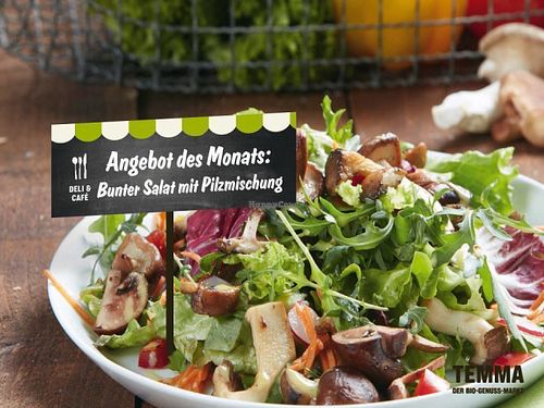 Temma at Temma - Bayenthal in Cologne