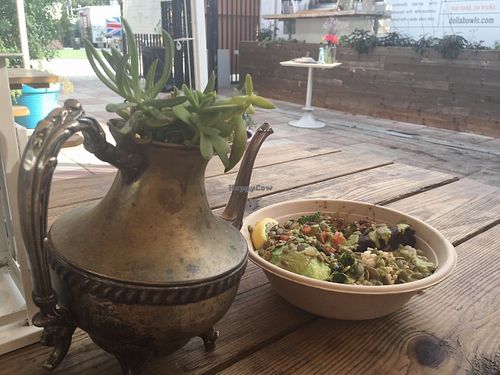 Eat with the plants!! at Della Bowls in Miami