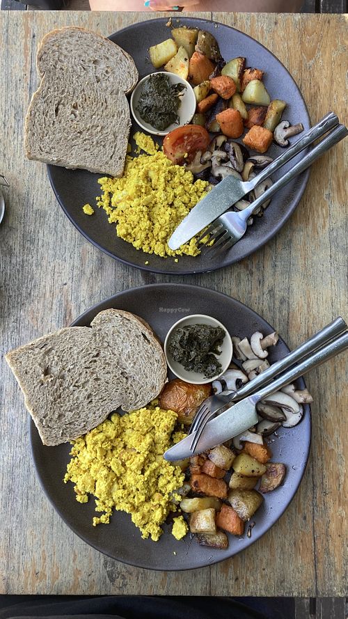 Vegan breakfasts  at Coconut Monkey in Koh Tao