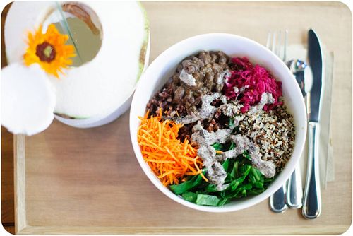 Ivory-billed Woodpecker  at Home - Eat To Live in Hong Kong Island