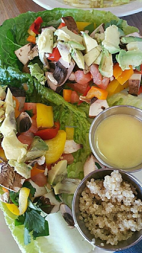 Raw Tropical Tacos  at Coconut Hut in Gilbert