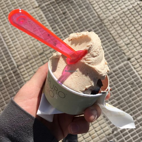 chocolate and cinnamon gelato  at Puro & Bio in Sevilla