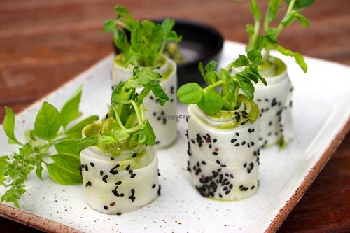 Daikon Pesto Rolls at Greenlight Cafe & Bar in Koh Samui