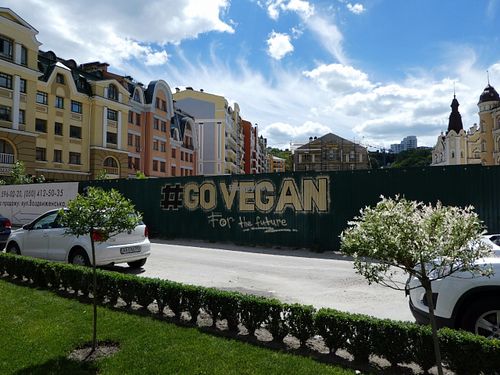 The whole area surrounding One Planet, has a fresh coat of colorful paint.  There are lots of cool shops and businesses to explore.    at One Planet in Kyiv