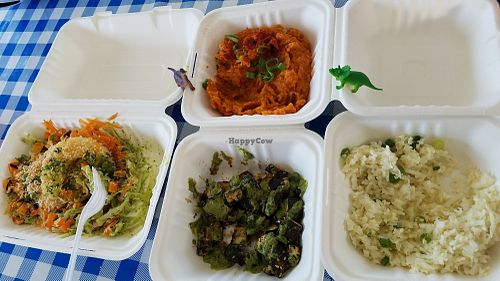 Four sides: sweet potato, cauliflower rice, seasonal veg and cabbage salad.  at Jurassic Cart in Portland