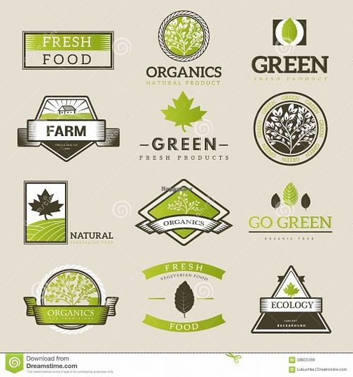 green fresh nature at Green Iguana Bar in Malaga