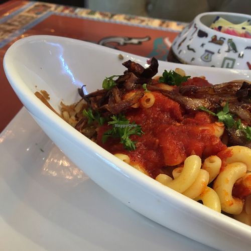 kushari  at Chef Samir Shaltout in Greensboro