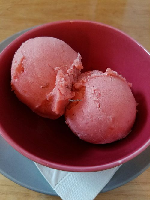 Strawberry Rhubarb Sorbetto at Fog Bar & Cafe in Rockland