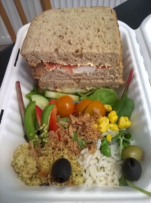 Cheatin' salmon sandwich with rice and salad at The Green Room in Middlesbrough