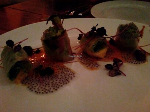 spring rolls at Green Buddha in Bratislava