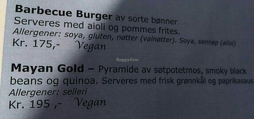 Main dishes at Restaurant Fryd in Tonsberg