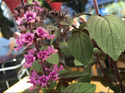 decoration on table at VIDA in Ravensburg