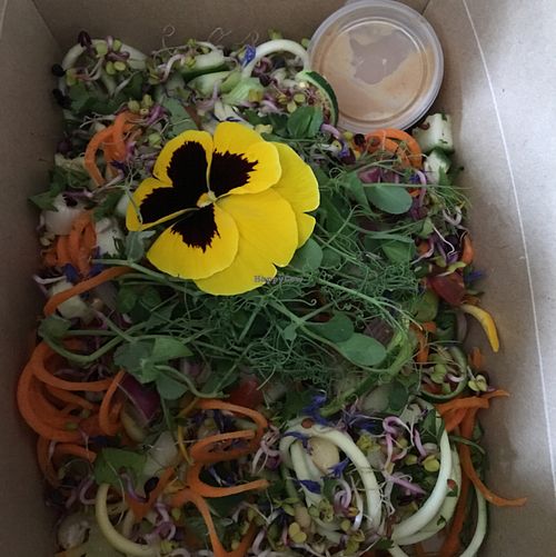 living Thai pad salad at Earthlings in Bolton