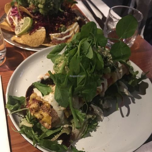 enchilada  at Greenhouse Canteen & Bar in Tallebudgera-vallley