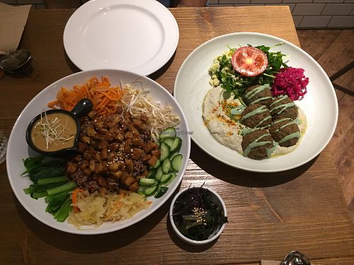 Korean style macrobiotic bibimbap and falafel plate at Plants in Taipei