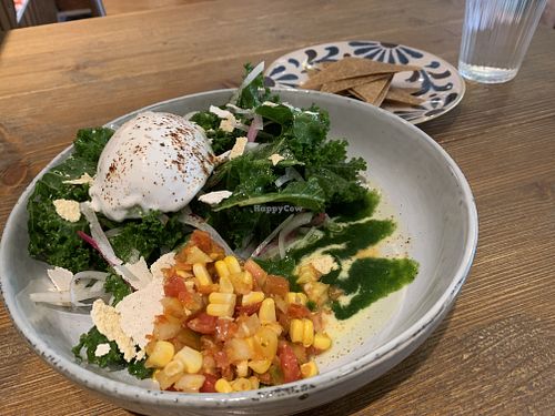 墨西哥沙拉缽 at Plants in Taipei