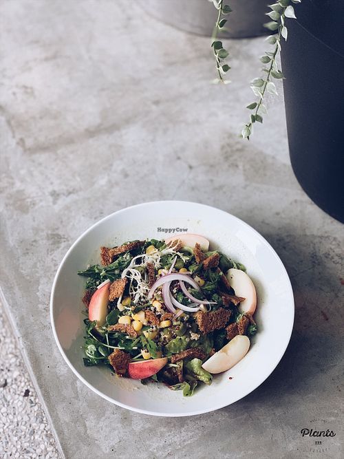 Corn & Quinoa Salad at Plants in Taipei