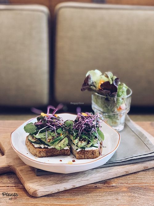 Herb & Avocado Toast at Plants in Taipei