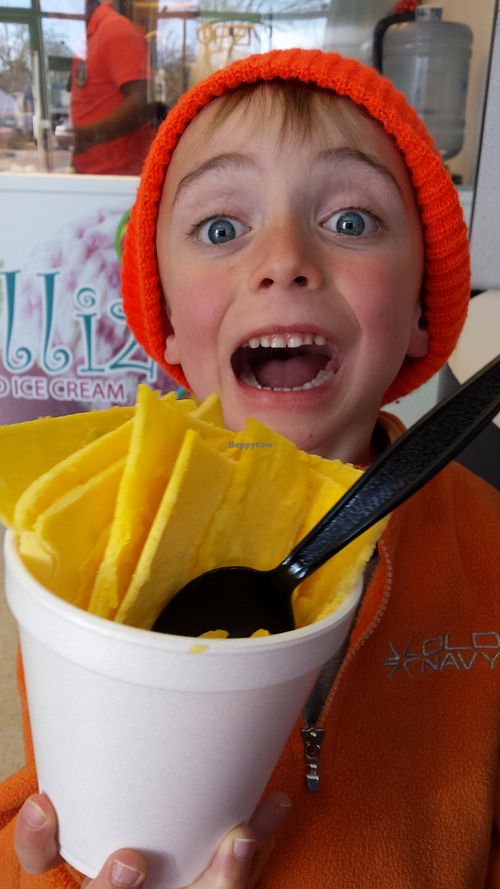 CLOSED Rolliz Fried Ice Cream Vineland New Jersey Ice Cream HappyCow