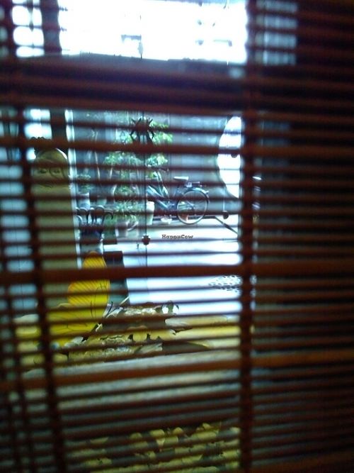 entrance (looking from the booth) at Ting Xiang Tea Life in Chengdu