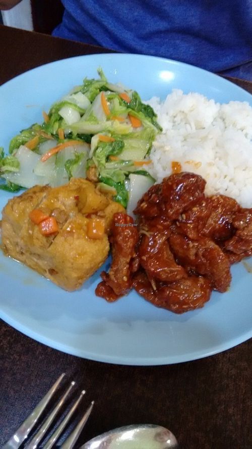 Mixed plate at Eight Immortals Vegetarian - Far East Plaza in Central Singapore