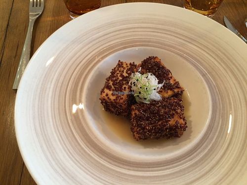 Quinoa-crusted tofu. Bland, despite the citrus sauce, and very small portion for 18 euros. at Sense Eat in Paris