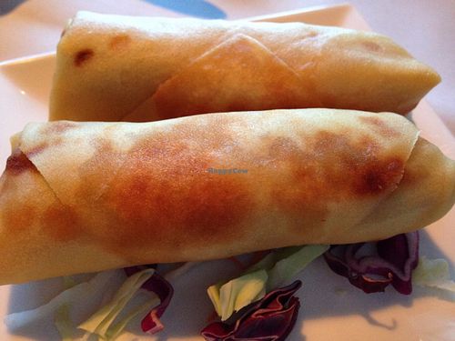 spring rolls at Lavender Asian Bistro in Lawrenceville