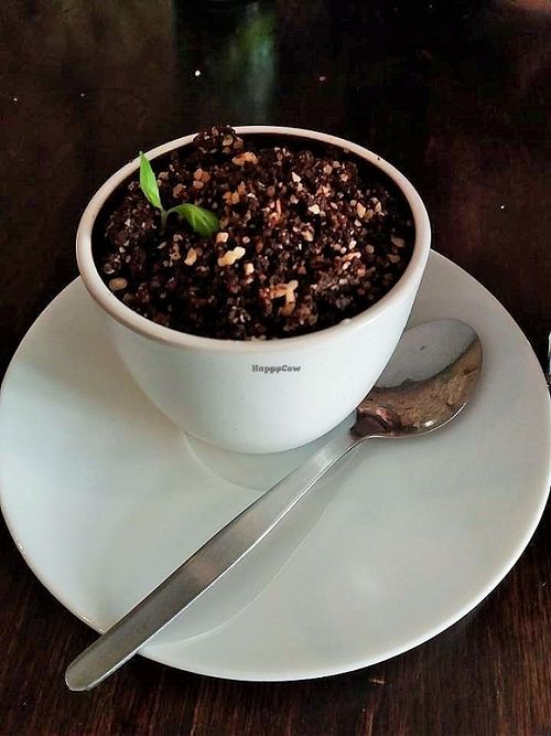 strawberries with chocolate crumble and basil  at Funky Jungle in Mechelen