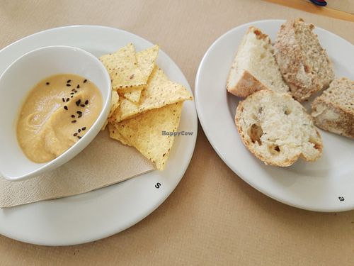 Starter at Clorofil-la in Mahon