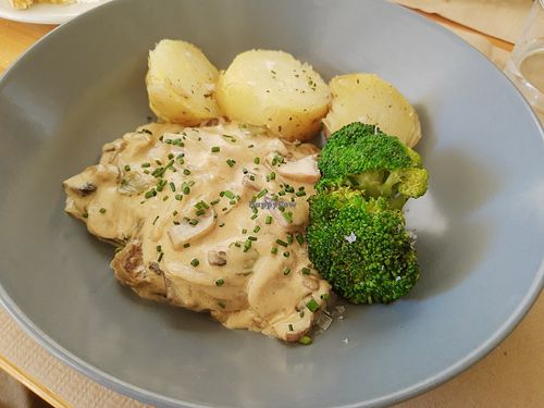 Stroganoff at Clorofil-la in Mahon