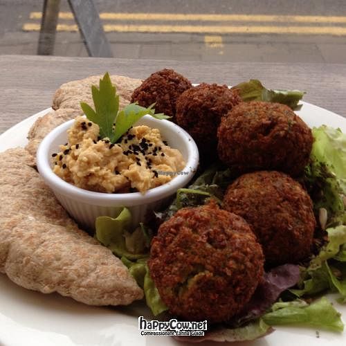 Falafel & Hummus Plate at Cafe Kino in Bristol