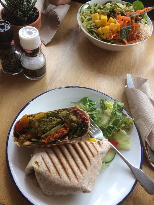 Falafel wrap and tempeh bowl. at Oogst in Alkmaar