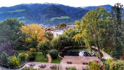 Garden (view from room) at La Vimea - Vegan Hotel & Vegan Restaurant in Naturno