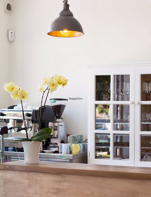 Bar counter at Gioia Plant-Based Cuisine in Marbella