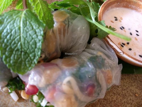 Winter nem with satay sauce (Rice paper roll) at The Green Spot in Barcelona