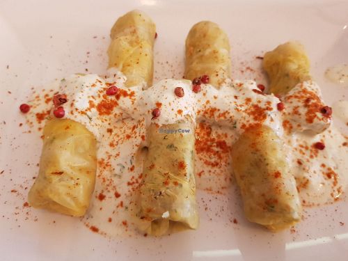 Cabbage Rolls with cashew cheese at Rawdia in Brasov