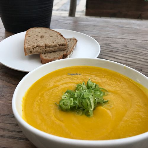 soup of the day at Evergreen Organics in Doha