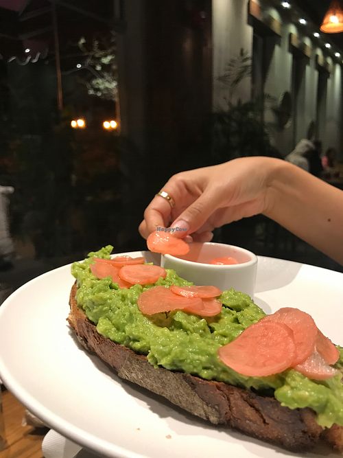 Avo love at Evergreen Organics in Doha