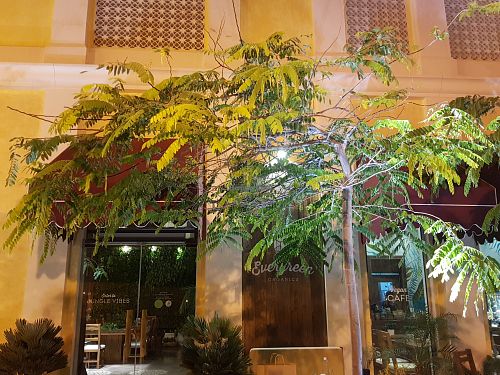 Exterior at Evergreen Organics in Doha