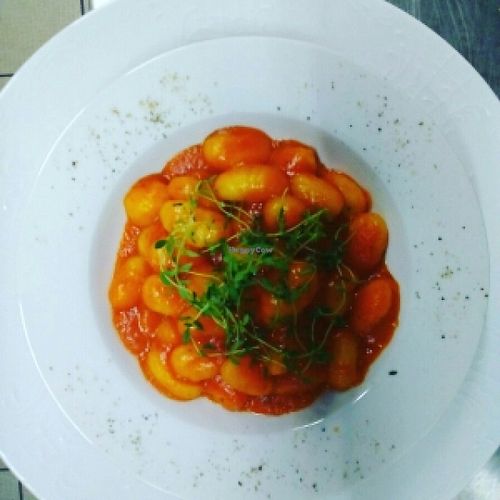 Das Hauptgericht, Gnocchi mit cremiger Tomatensauce. at Cobra Kantine in Solingen