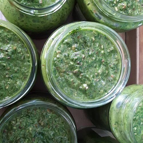 home made wild garlic pesto at The Dog and Smuggler Tuck Shop in Falmouth