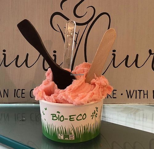 vegan scoop at Ciuri Ciuri in Falmouth