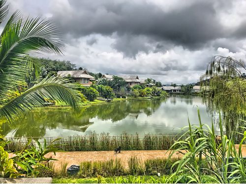 Views!!!!! at The LifeCo Detox in Phuket