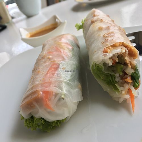 excellent summer rolls at Loving Hut Cafe in Dusseldorf