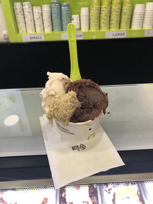 Vegan Gelato  at The Gelatist in Rome