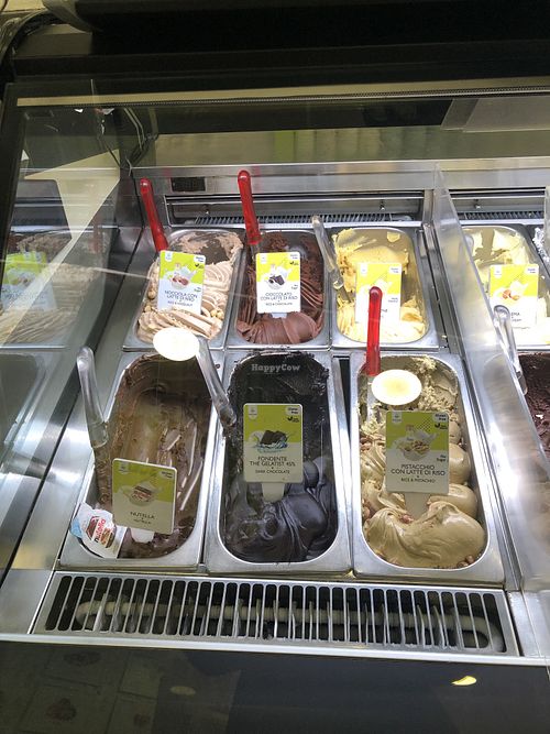 Some of the vegan flavors  at The Gelatist in Rome