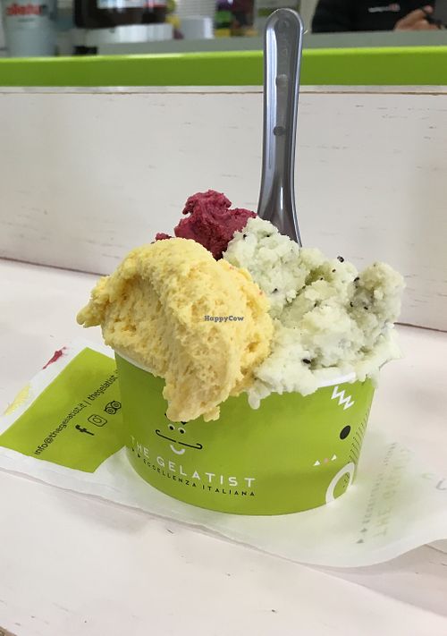 Image of The Gelatist